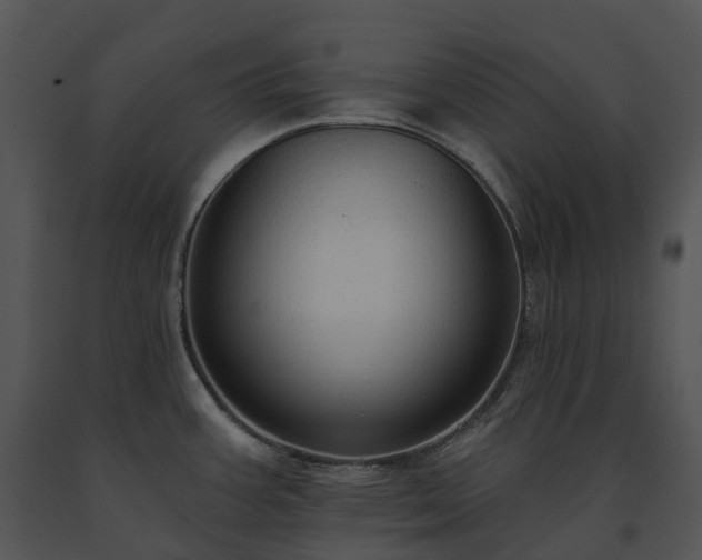 X0000091691387200708301531