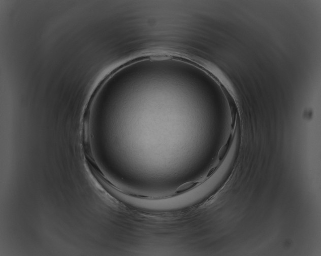 X0000091691388200708301531