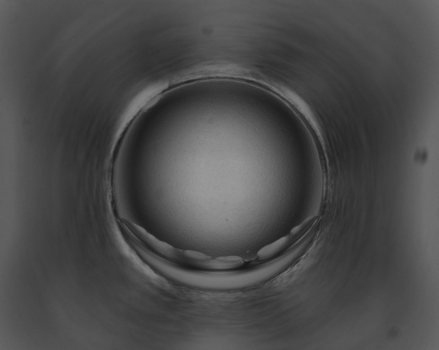 X0000091691389200708301531
