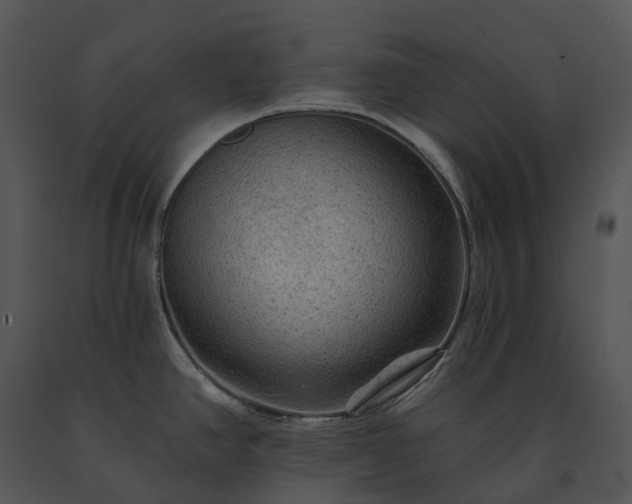 X0000091691390200708301531