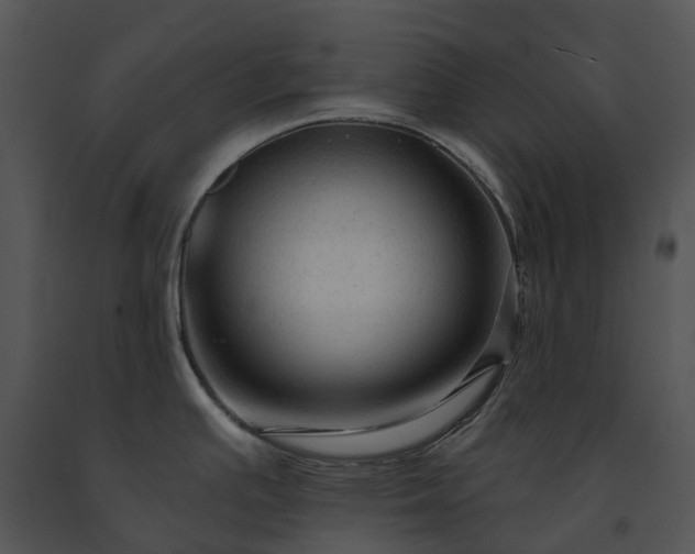 X0000091691391200708301531
