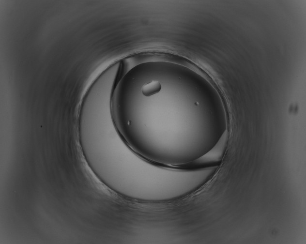 X0000091691392200708301531