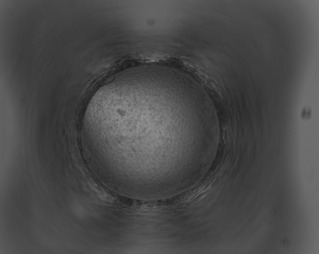 X0000091691393200708301530