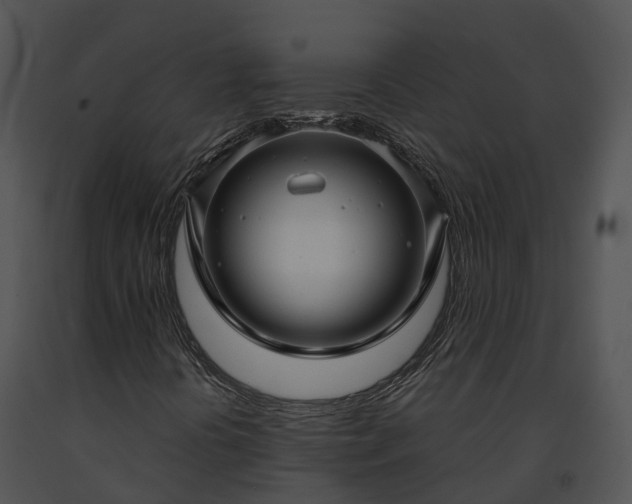 X0000091691394200708301530