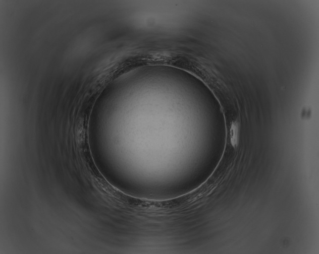 X0000091691395200708301530