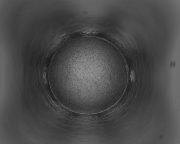 X0000091691396200708301530