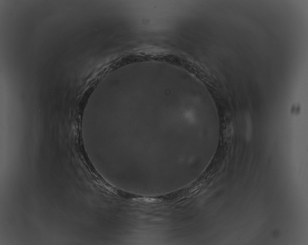 X0000091691397200708301530
