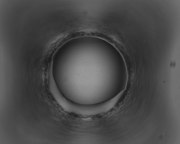 X0000091691398200708301530
