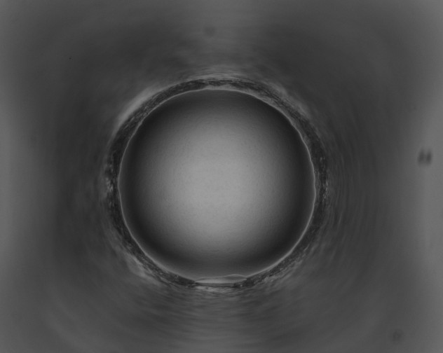 X0000091691400200708301530