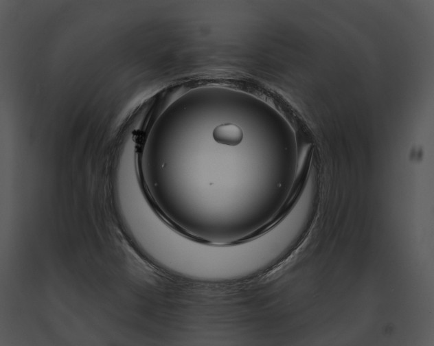 X0000091691402200708301531