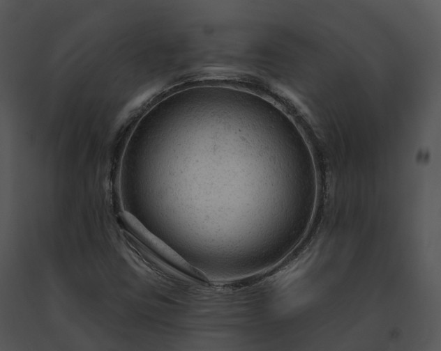 X0000091691403200708301531