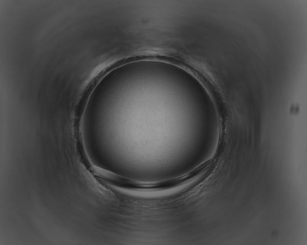 X0000091691404200708301531