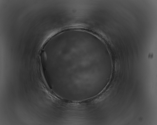 X0000091691405200708301531