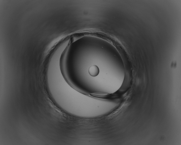 X0000091691406200708301531