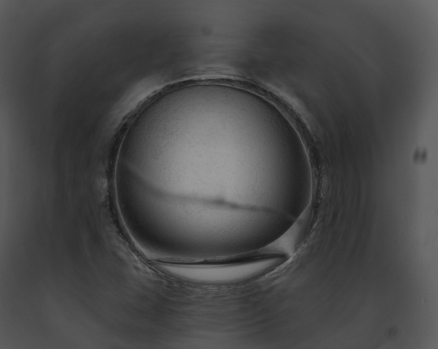 X0000091691407200708301531
