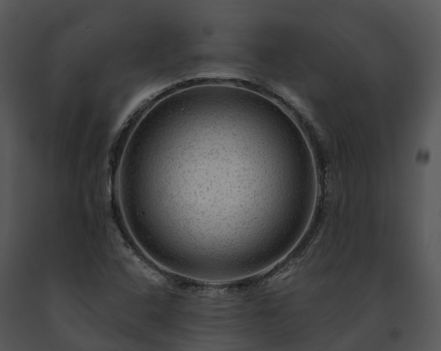 X0000091691408200708301531