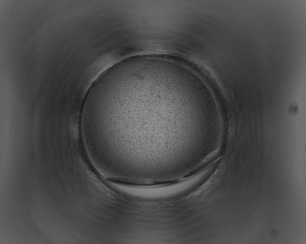 X0000091691409200708301531