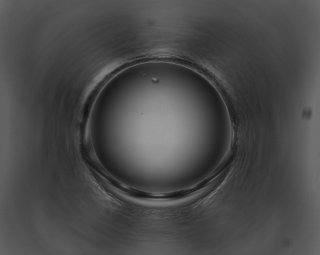 X0000091691410200708301531