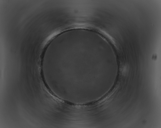 X0000091691411200708301531