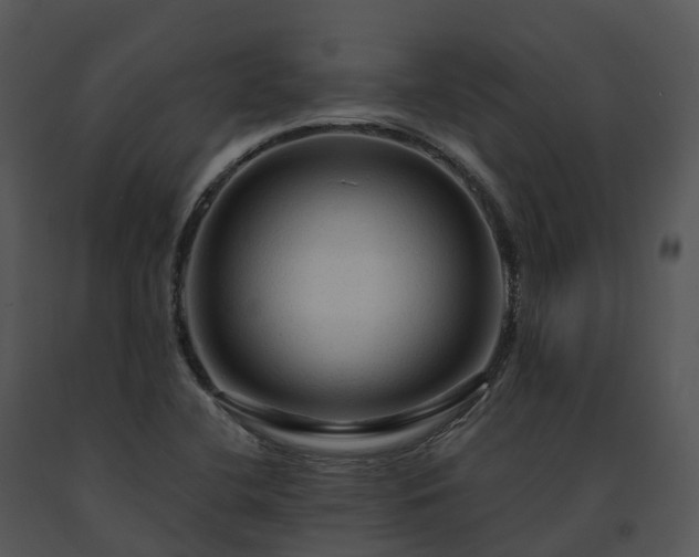 X0000091691412200708301531