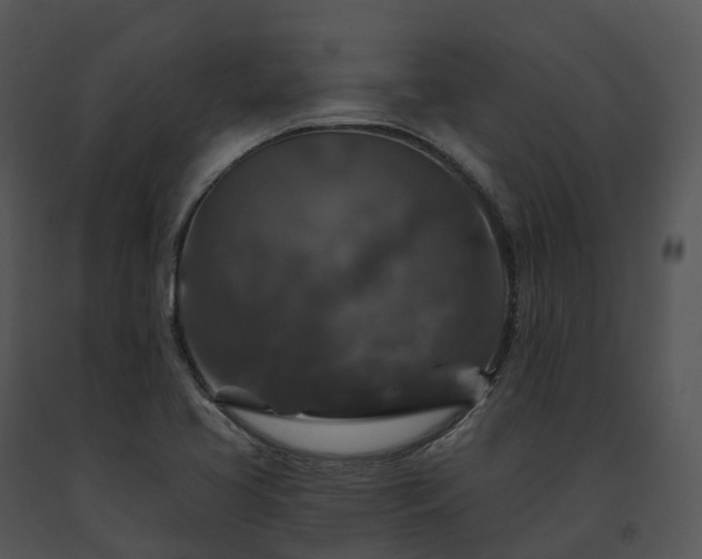 X0000091691413200708301531