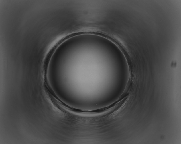 X0000091691414200708301531