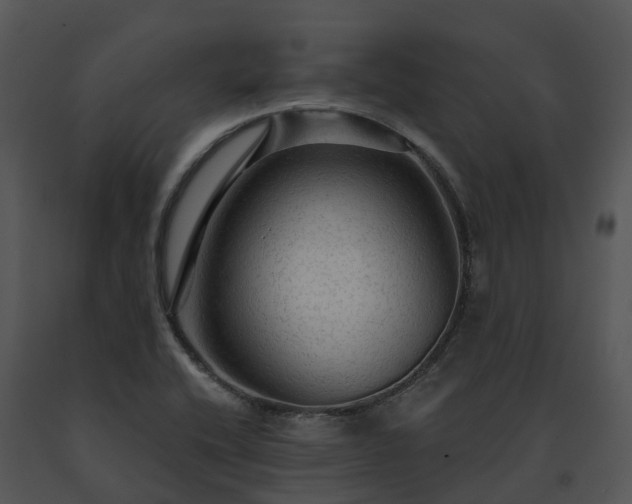 X0000091691416200708301531