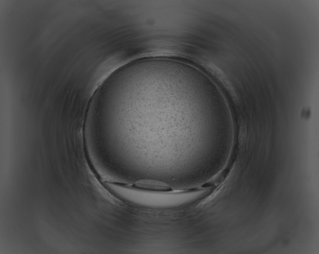 X0000091691417200708301531