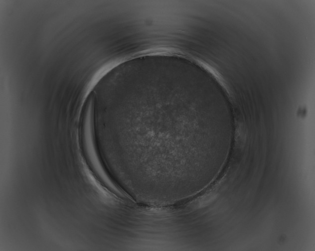 X0000091691418200708301531