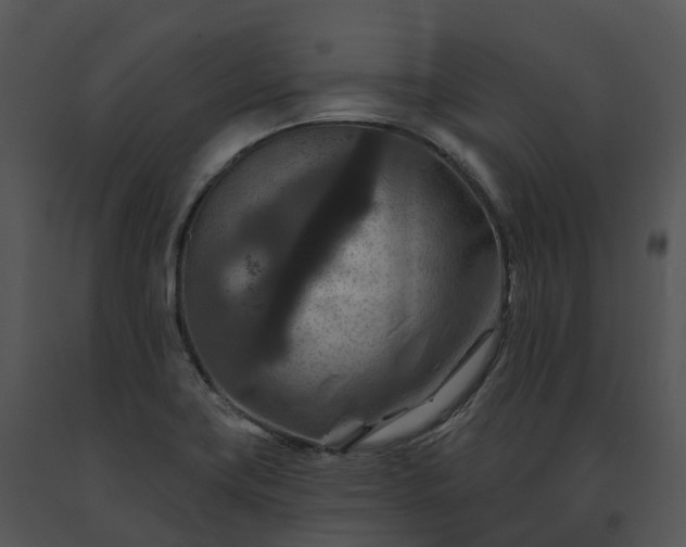 X0000091691419200708301531
