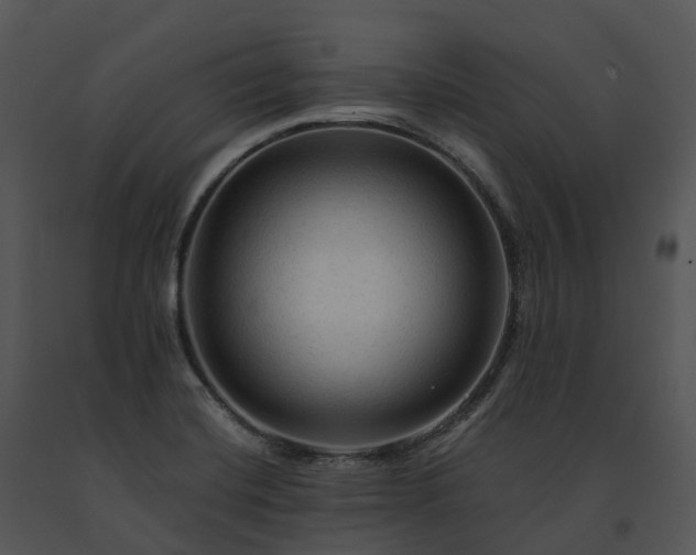 X0000091691420200708301531