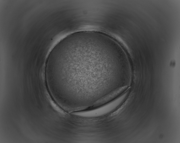 X0000091691421200708301531