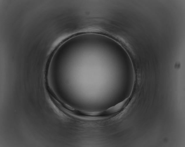 X0000091691422200708301531