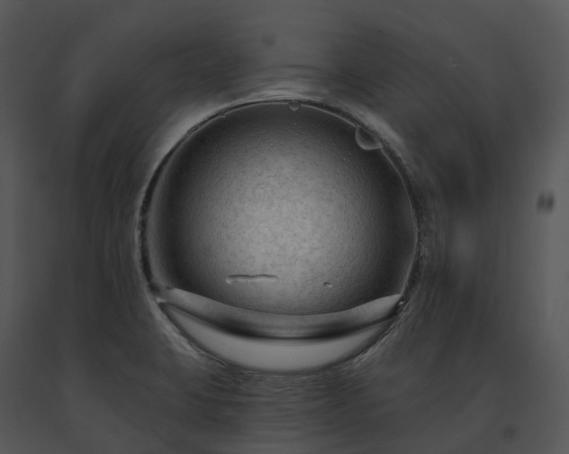 X0000091691423200708301531