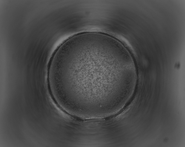 X0000091691424200708301531