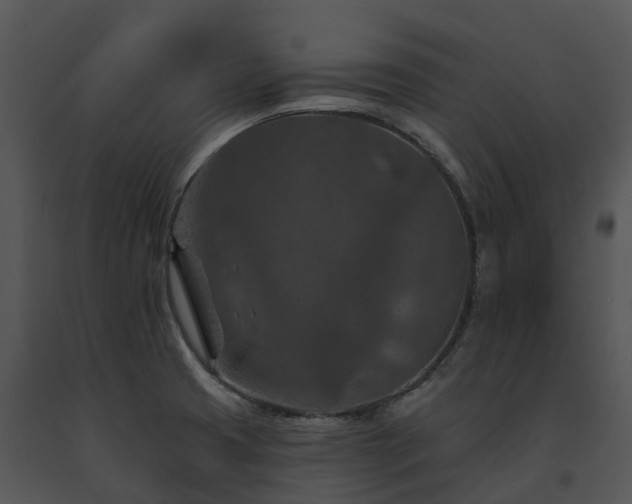 X0000091691425200708301531