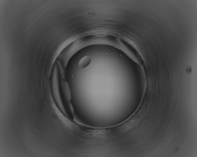 X0000091691426200708301531