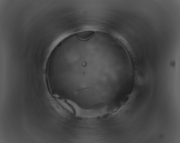 X0000091691427200708301531