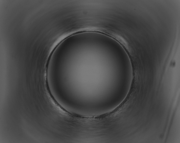 X0000091691428200708301531
