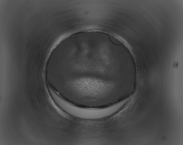 X0000091691429200708301531