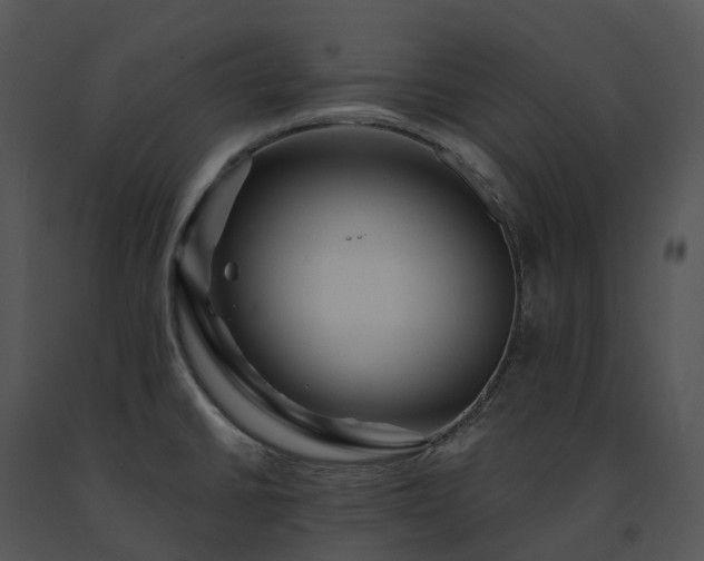 X0000091691430200708301531