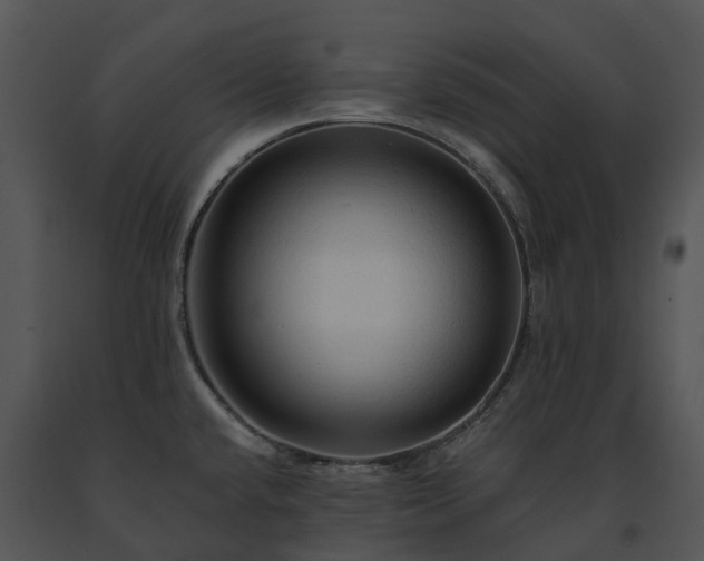 X0000091691432200708301531