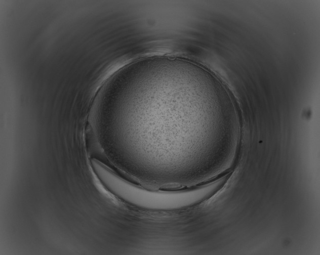 X0000091691433200708301531