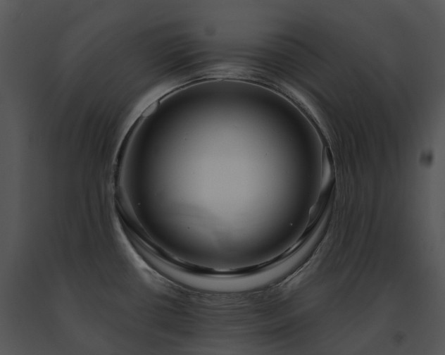 X0000091691434200708301531