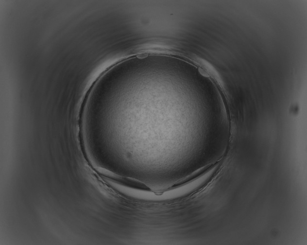 X0000091691435200708301531