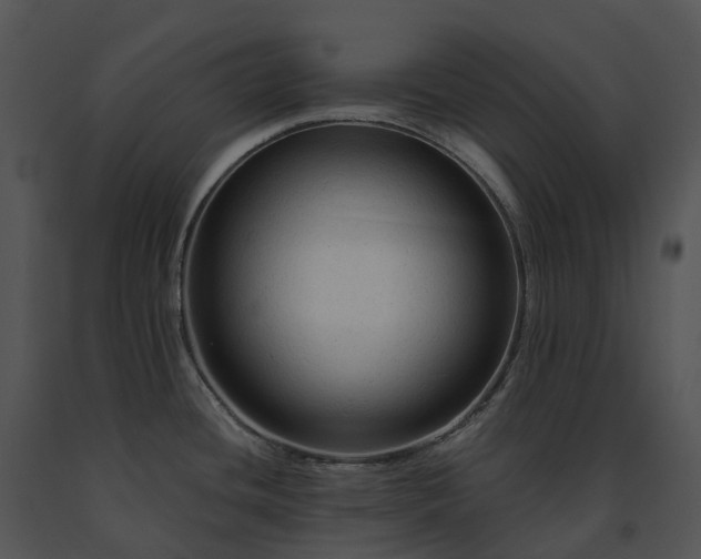 X0000091691436200708301531