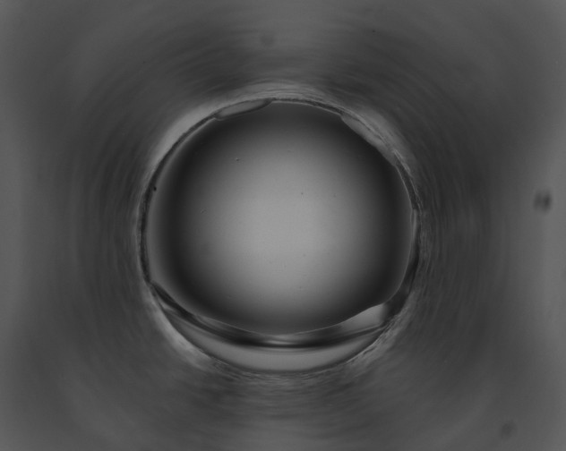 X0000091691438200708301531
