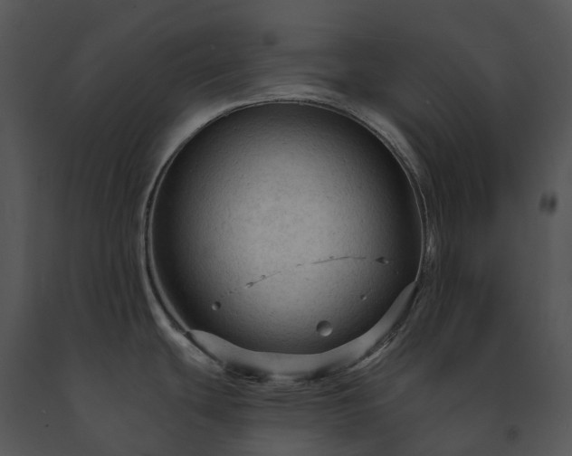 X0000091691439200708301531