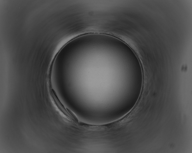 X0000091691440200708301531
