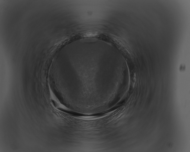 X0000091691441200708301530